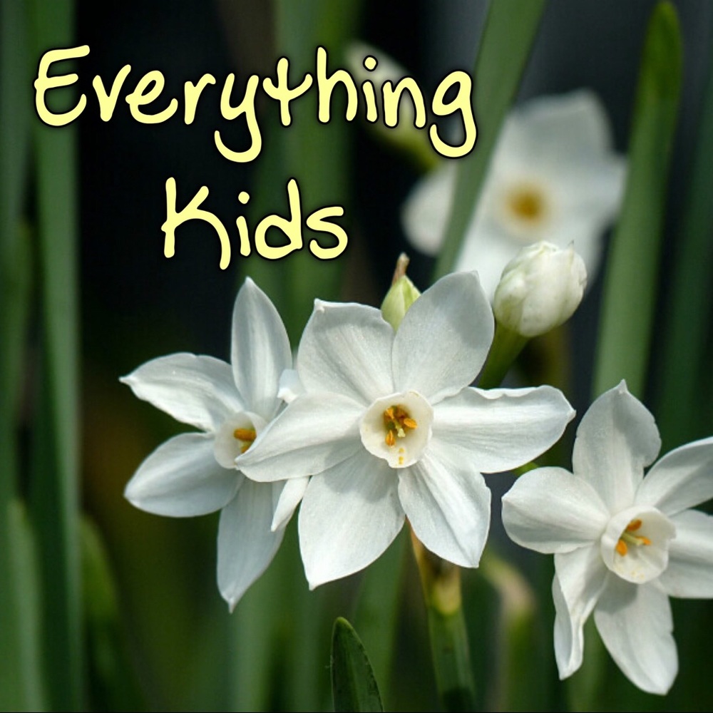 Everything kids